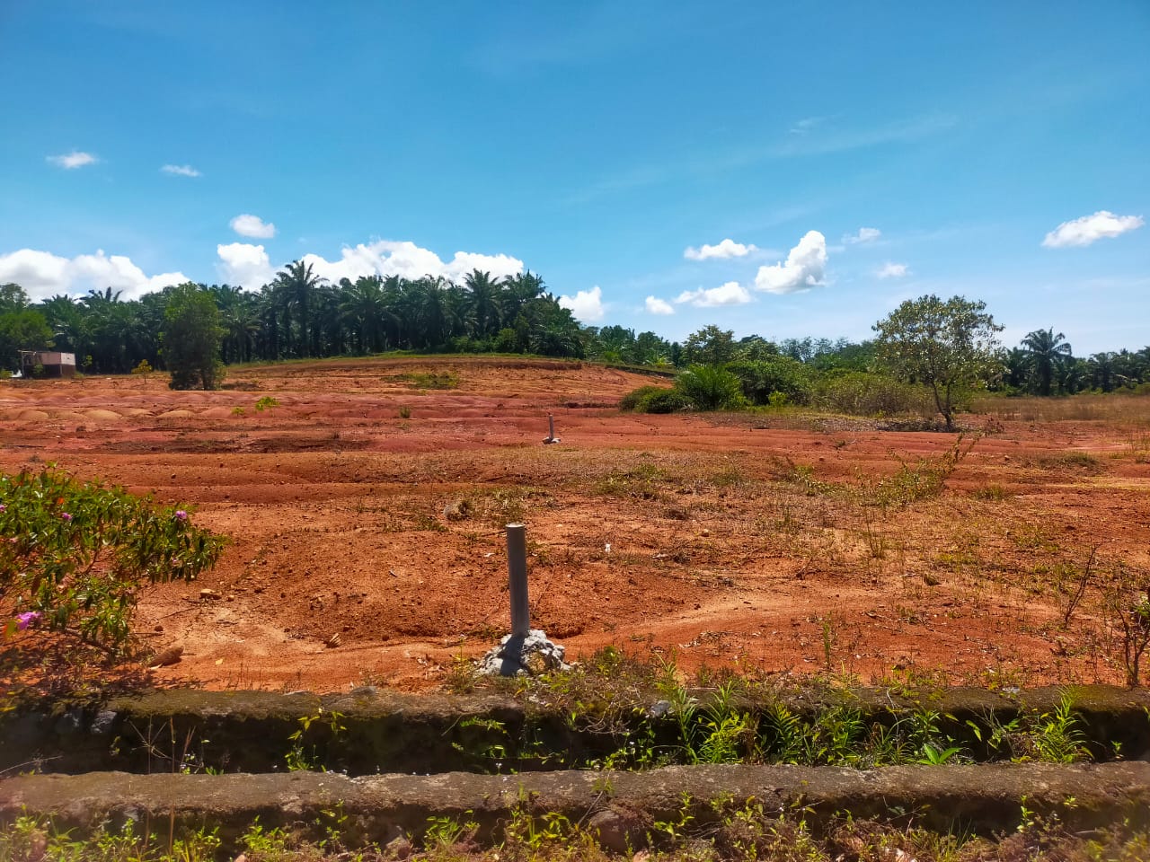 Foto Lahan Kavling Tanpa DP Lubuk Linggau